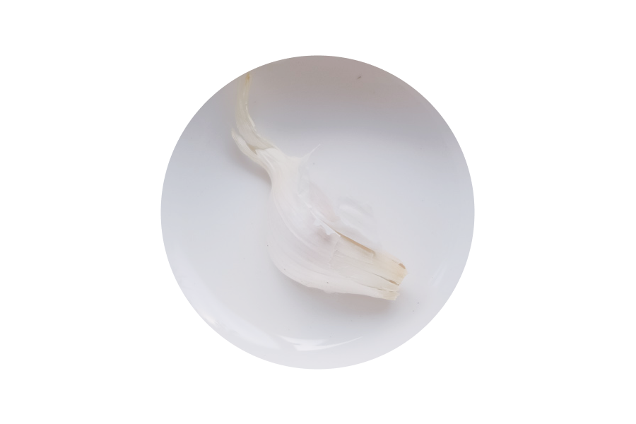 大蒜garlic