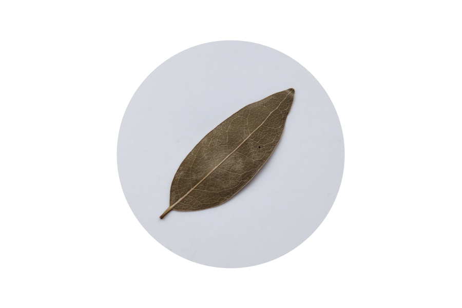 月桂葉 bay leaf